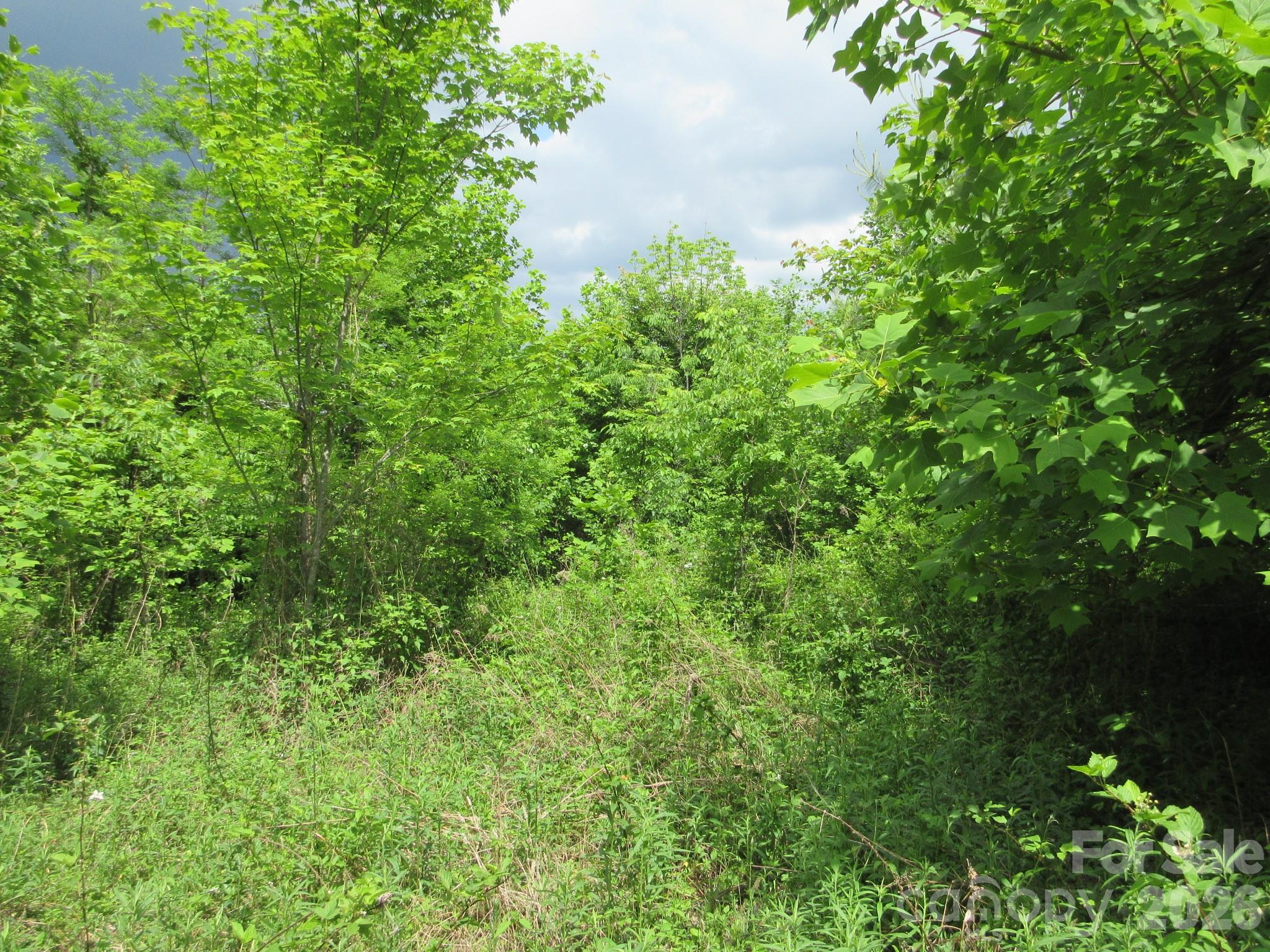 0 Rocky Top Trail Hot Springs NC 28743