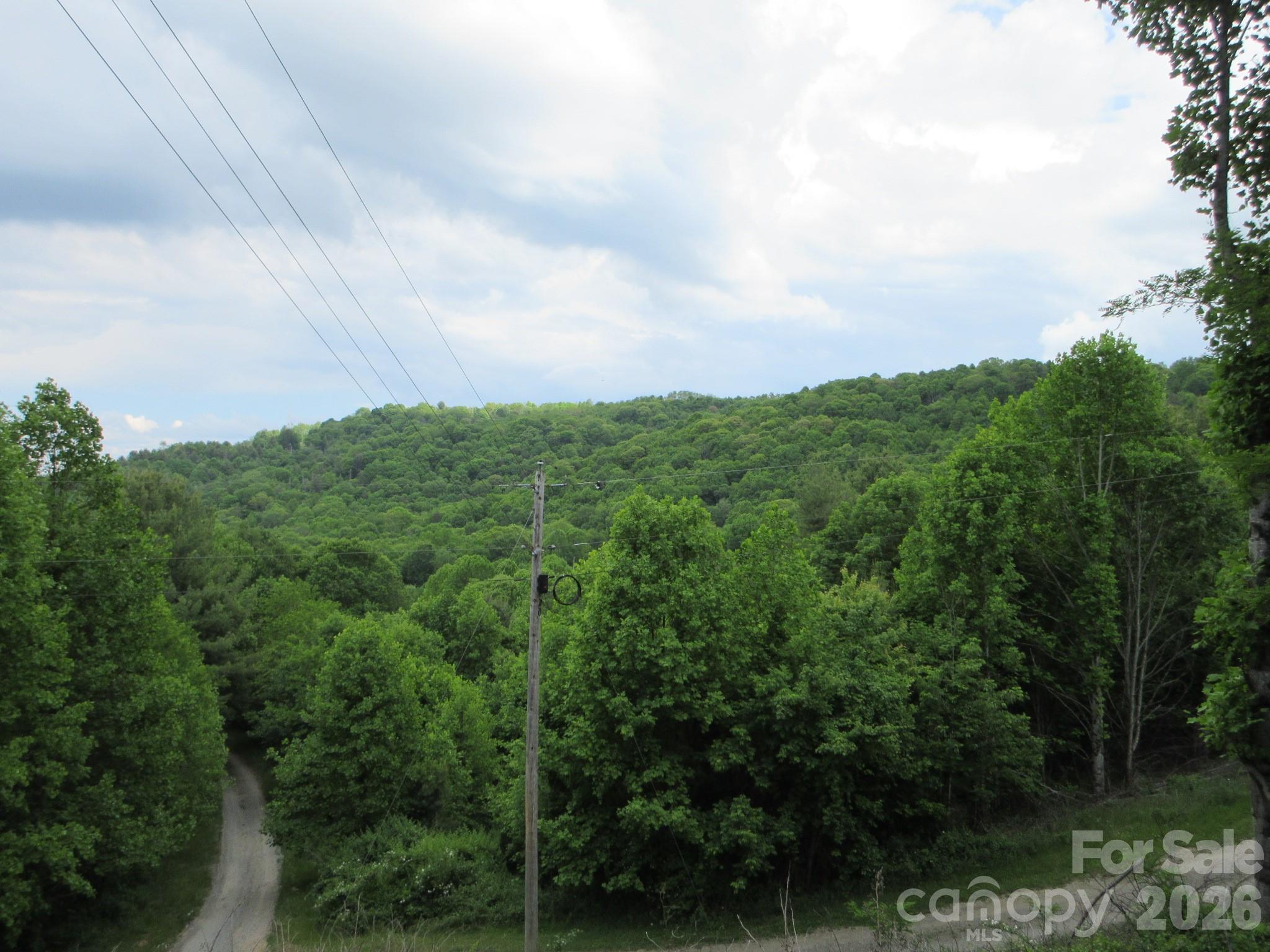 0 Rocky Top Trail Hot Springs NC 28743
