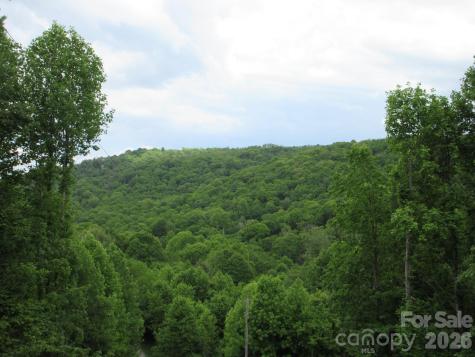 0 Rocky Top Trail Hot Springs NC 28743
