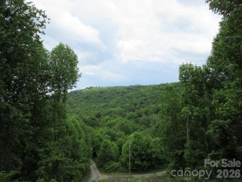 0 Rocky Top Trail Hot Springs NC 28743