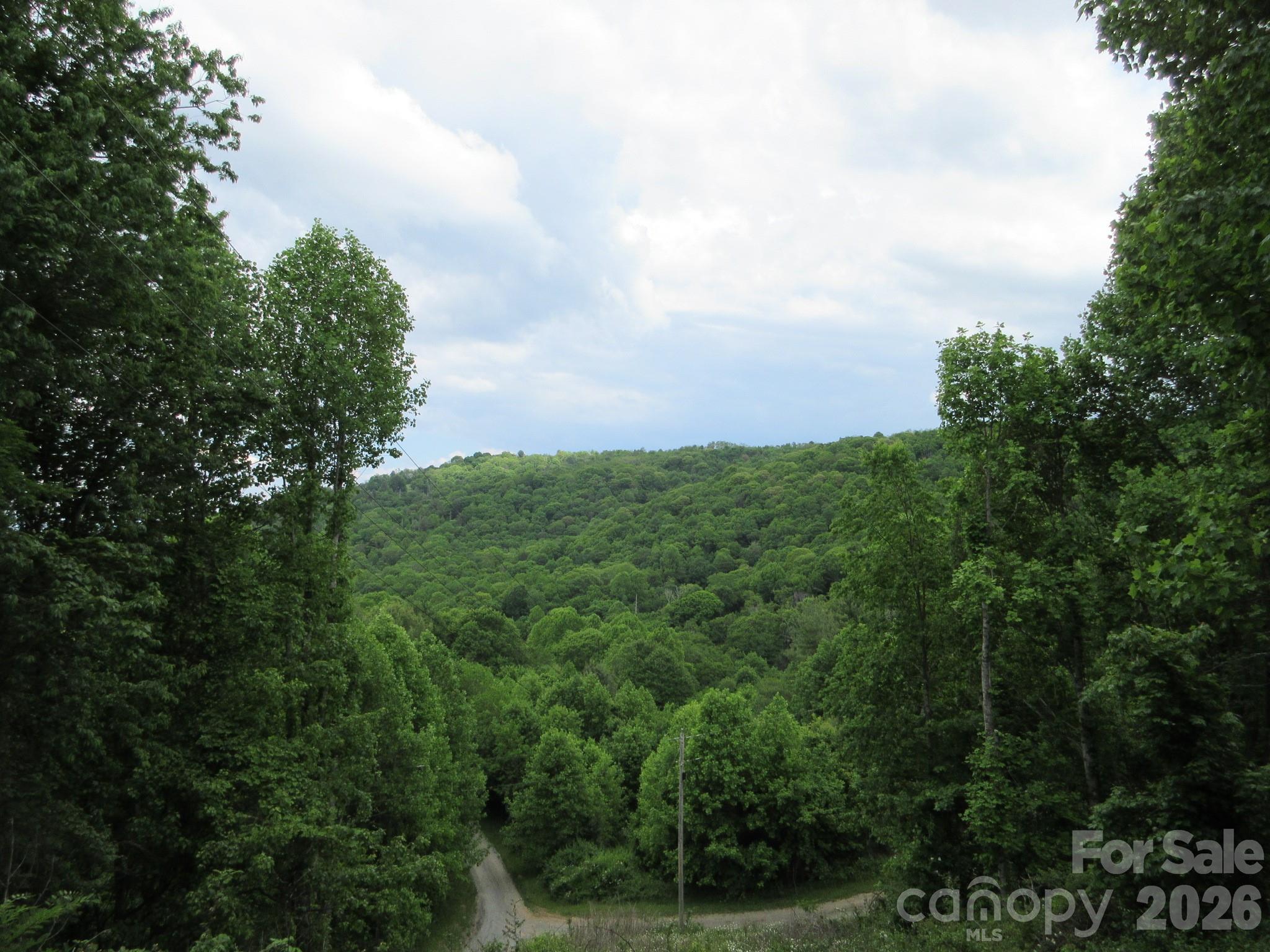 0 Rocky Top Trail Hot Springs NC 28743