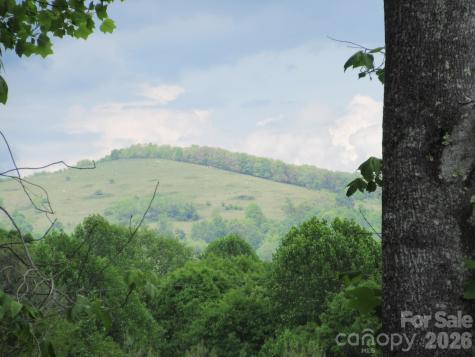 0 Rocky Top Trail Hot Springs NC 28743