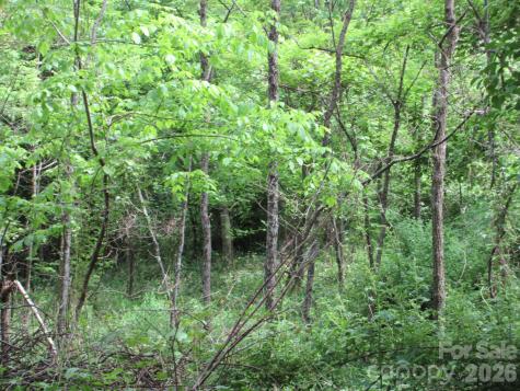 0 Rocky Top Trail Hot Springs NC 28743