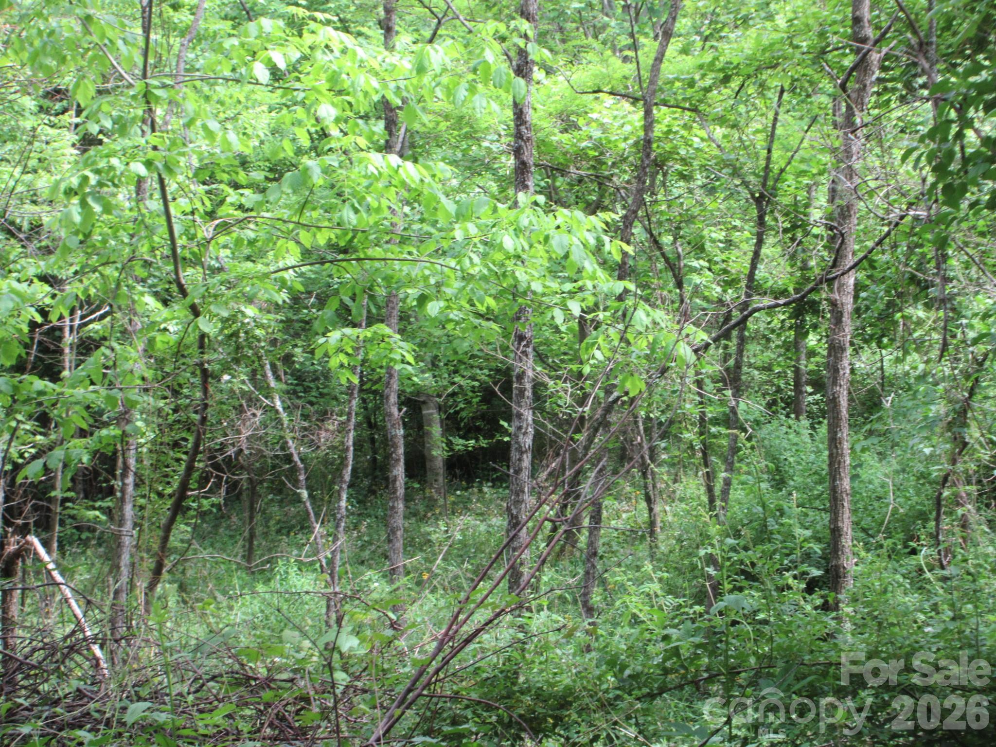 0 Rocky Top Trail Hot Springs NC 28743