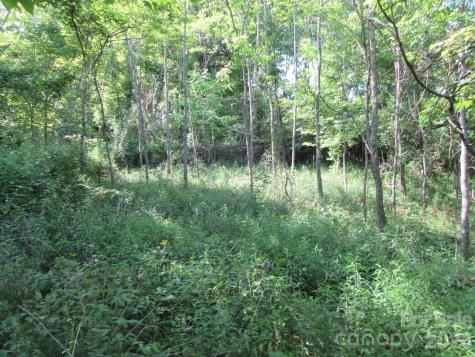 0 Rocky Top Trail Hot Springs NC 28743
