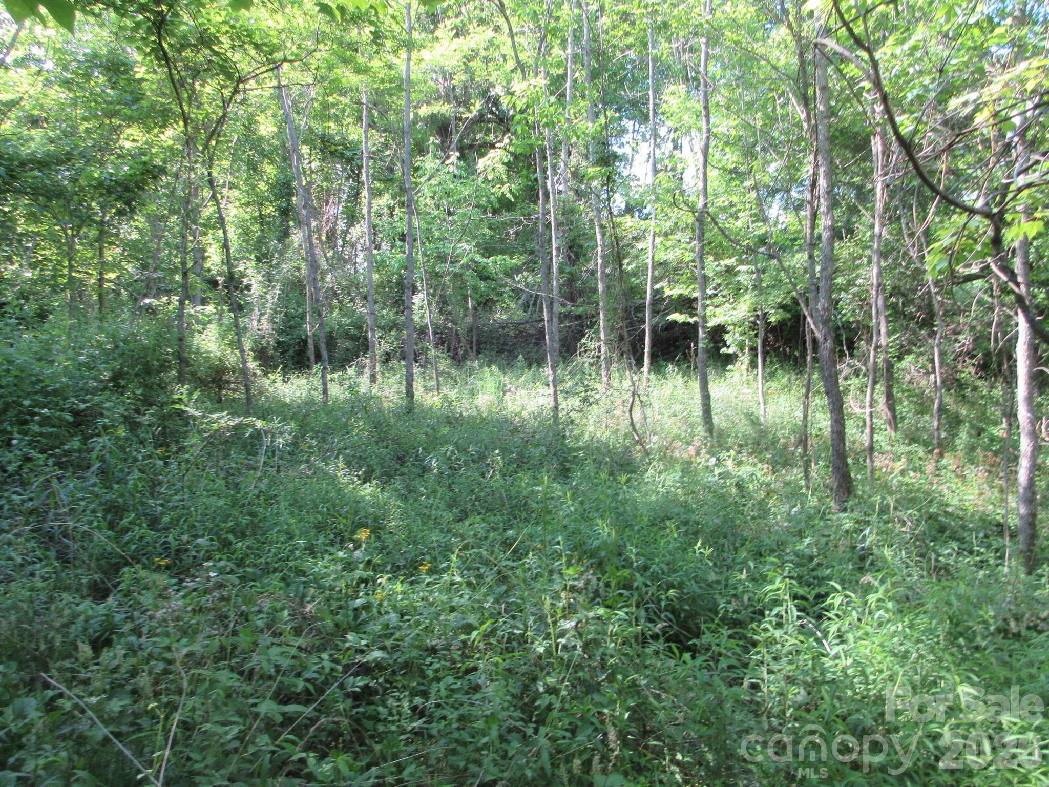 0 Rocky Top Trail Hot Springs NC 28743