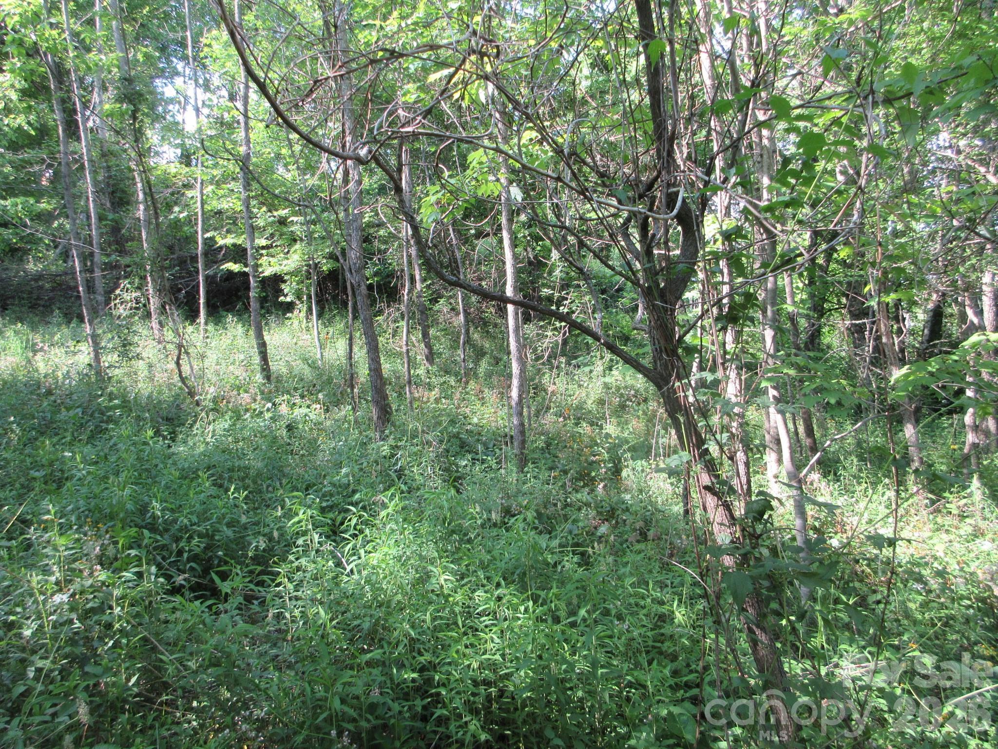 0 Rocky Top Trail Hot Springs NC 28743