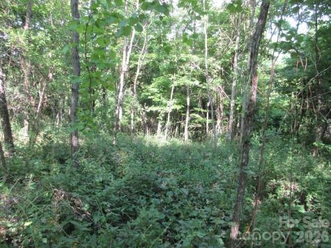 0 Rocky Top Trail Hot Springs NC 28743