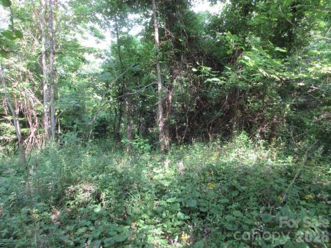 0 Rocky Top Trail Hot Springs NC 28743
