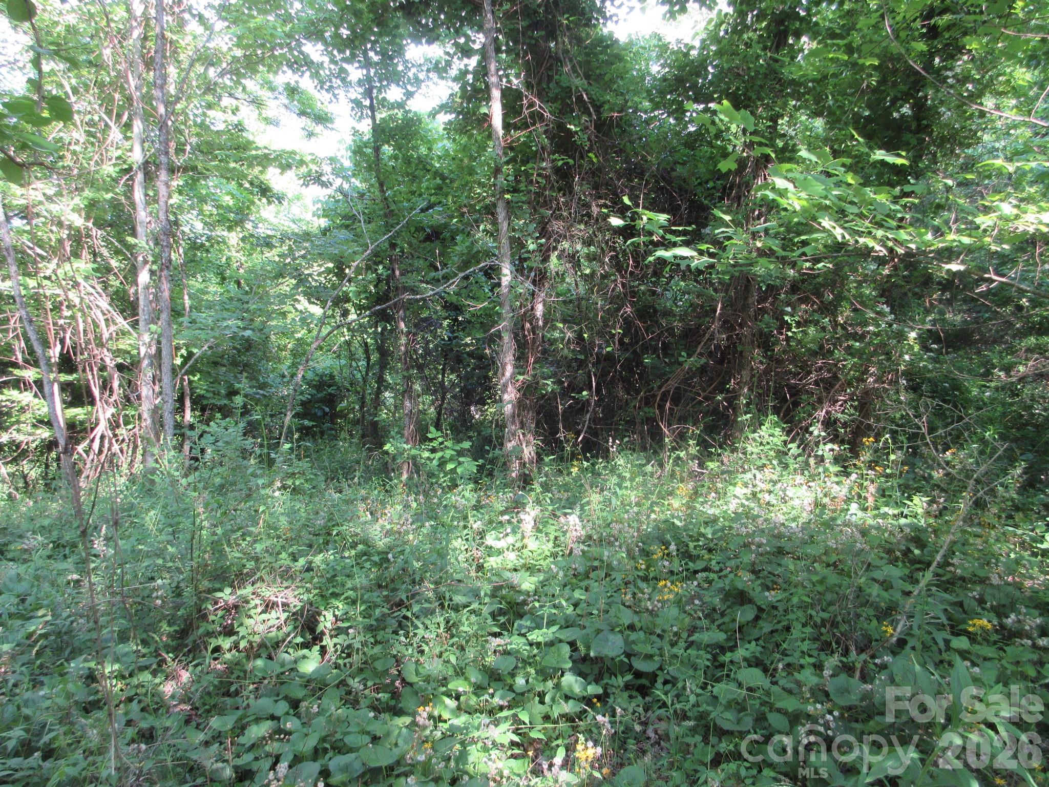 0 Rocky Top Trail Hot Springs NC 28743