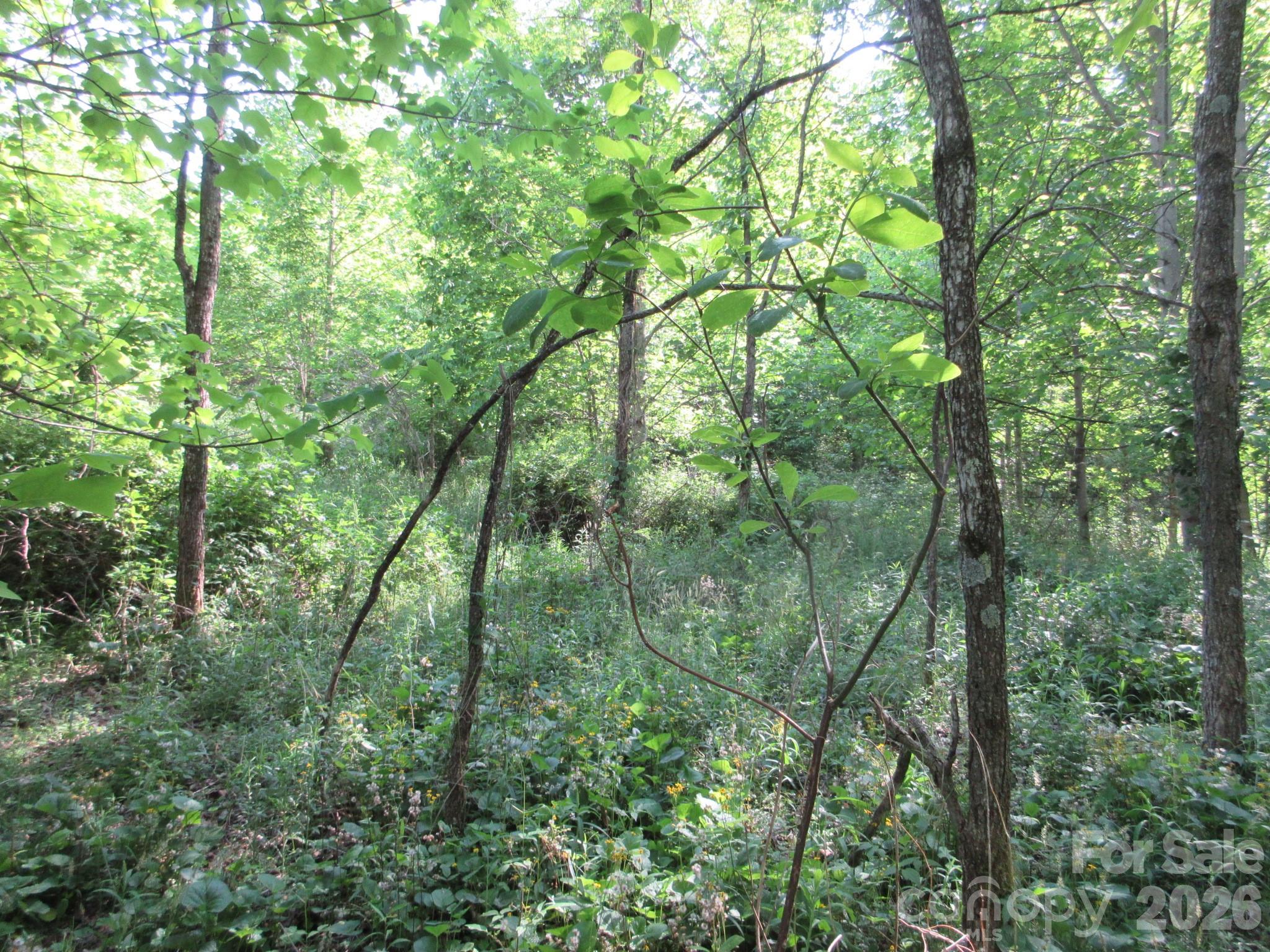 0 Rocky Top Trail Hot Springs NC 28743