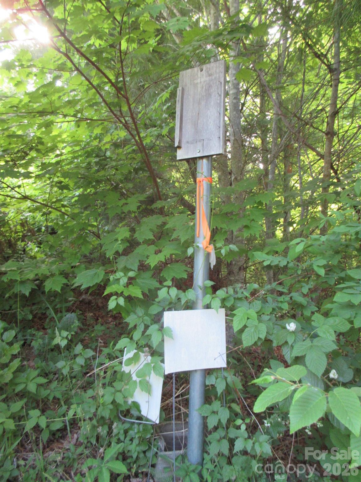 0 Rocky Top Trail Hot Springs NC 28743