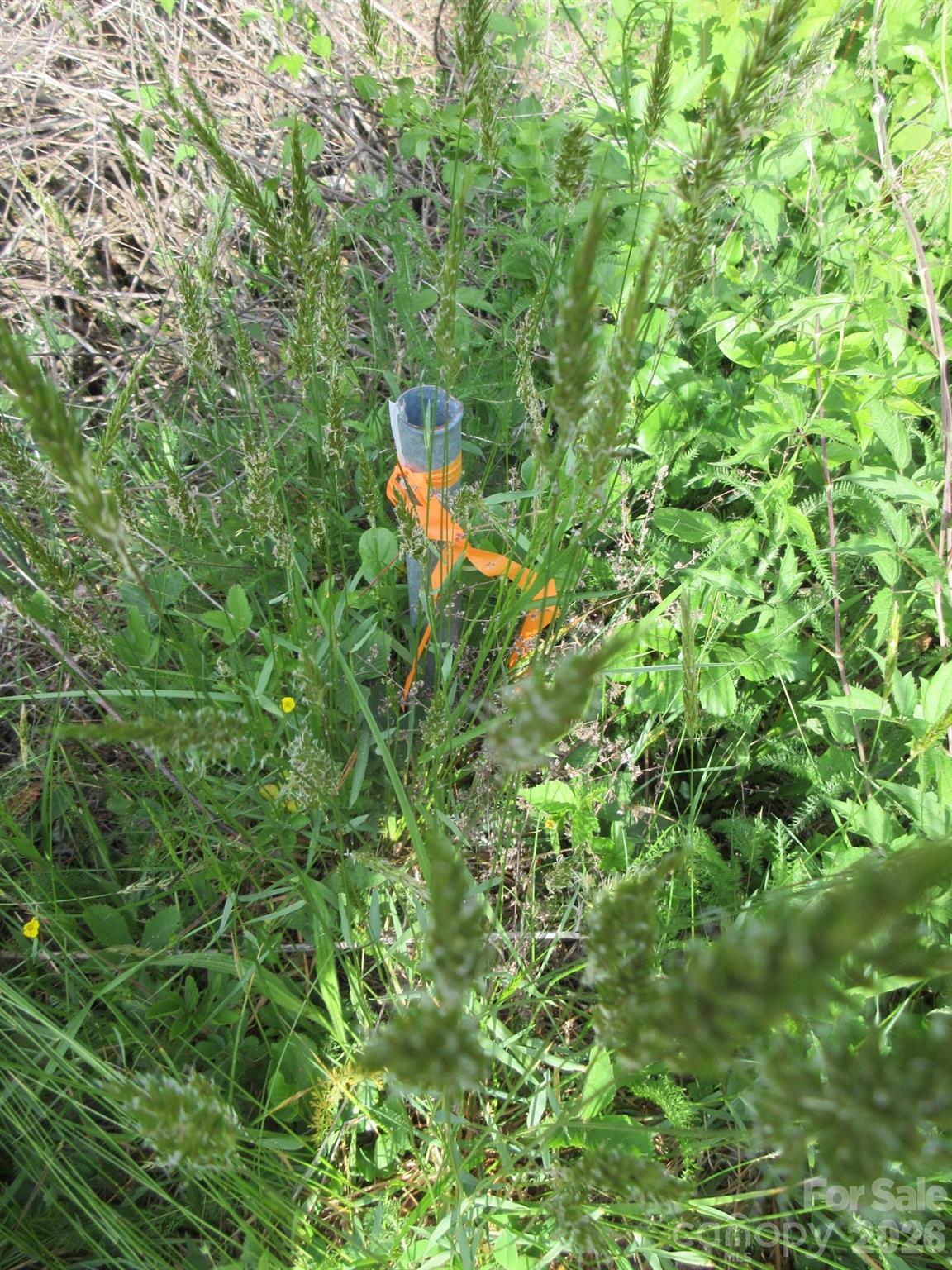0 Rocky Top Trail Hot Springs NC 28743