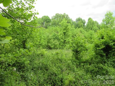 0 Rocky Top Trail Hot Springs NC 28743