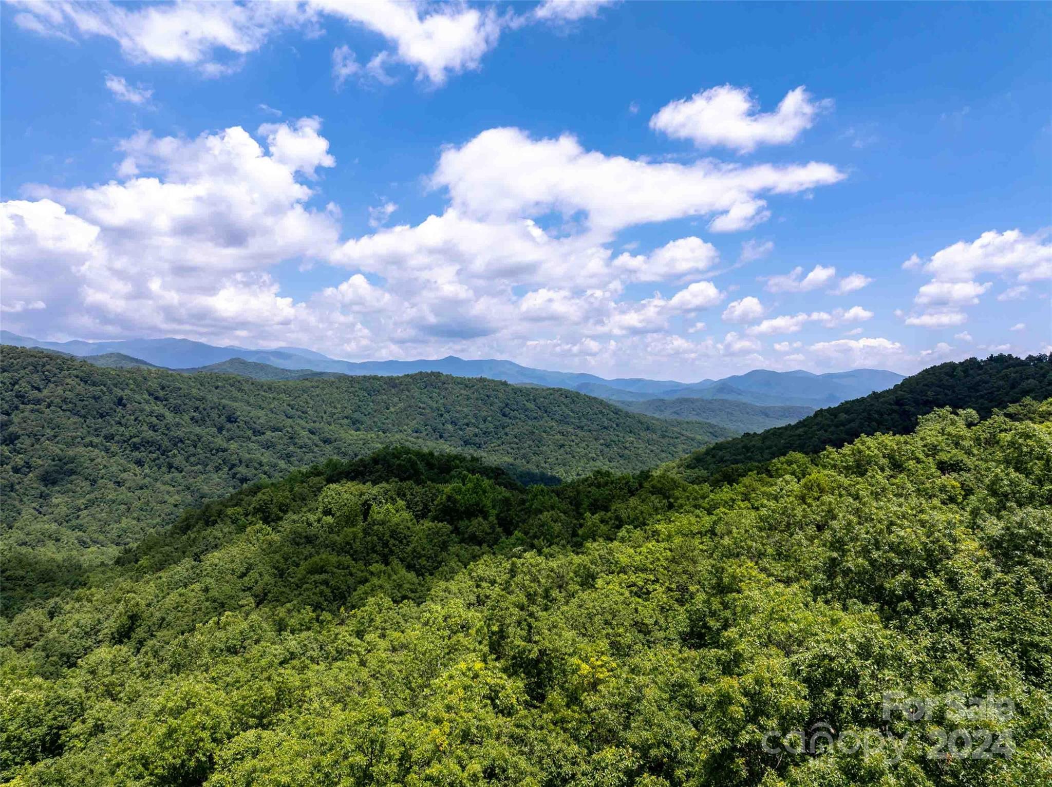 561 N Haven Drive Black Mountain NC 28711