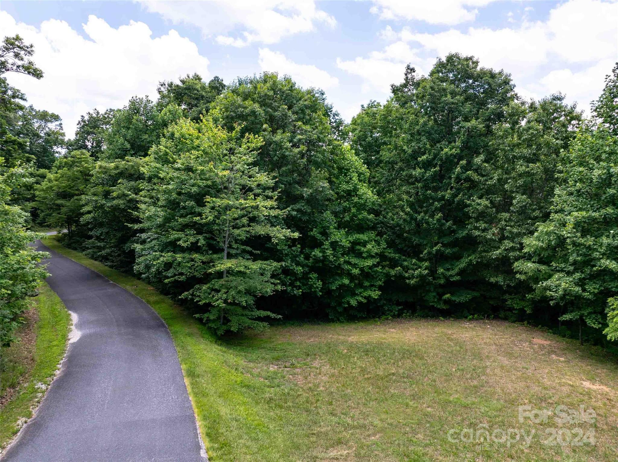 561 N Haven Drive Black Mountain NC 28711