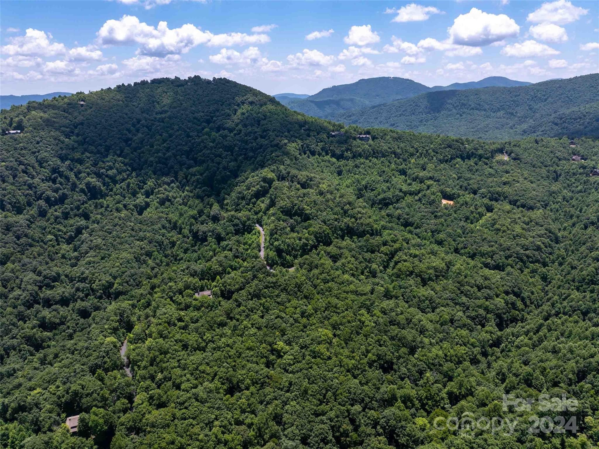 561 N Haven Drive Black Mountain NC 28711
