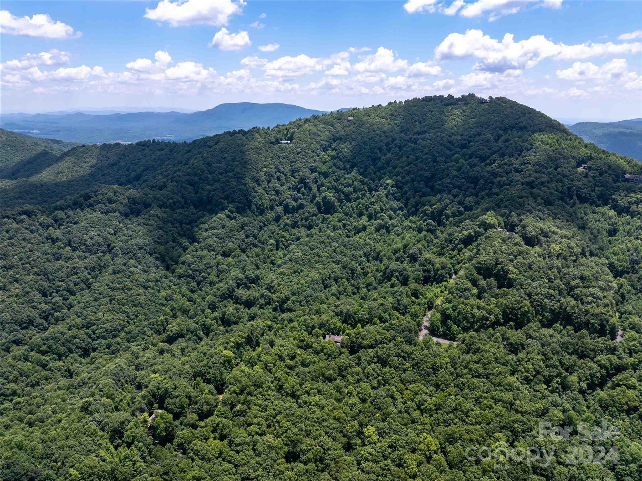 561 N Haven Drive Black Mountain NC 28711