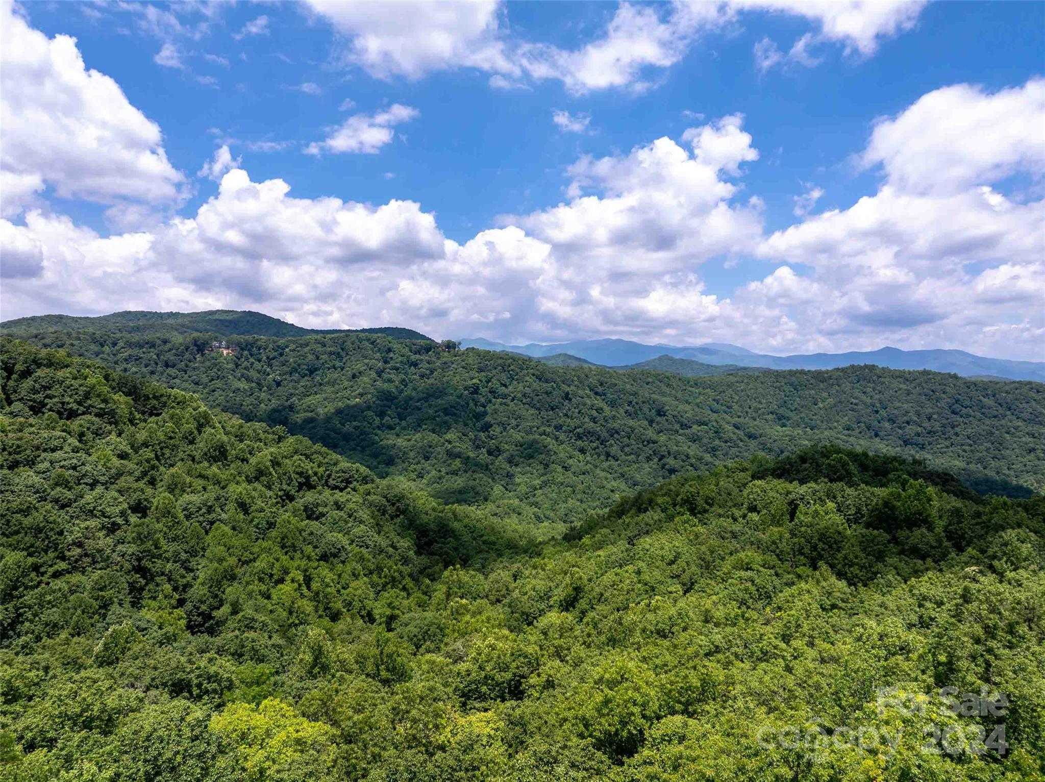 561 N Haven Drive Black Mountain NC 28711