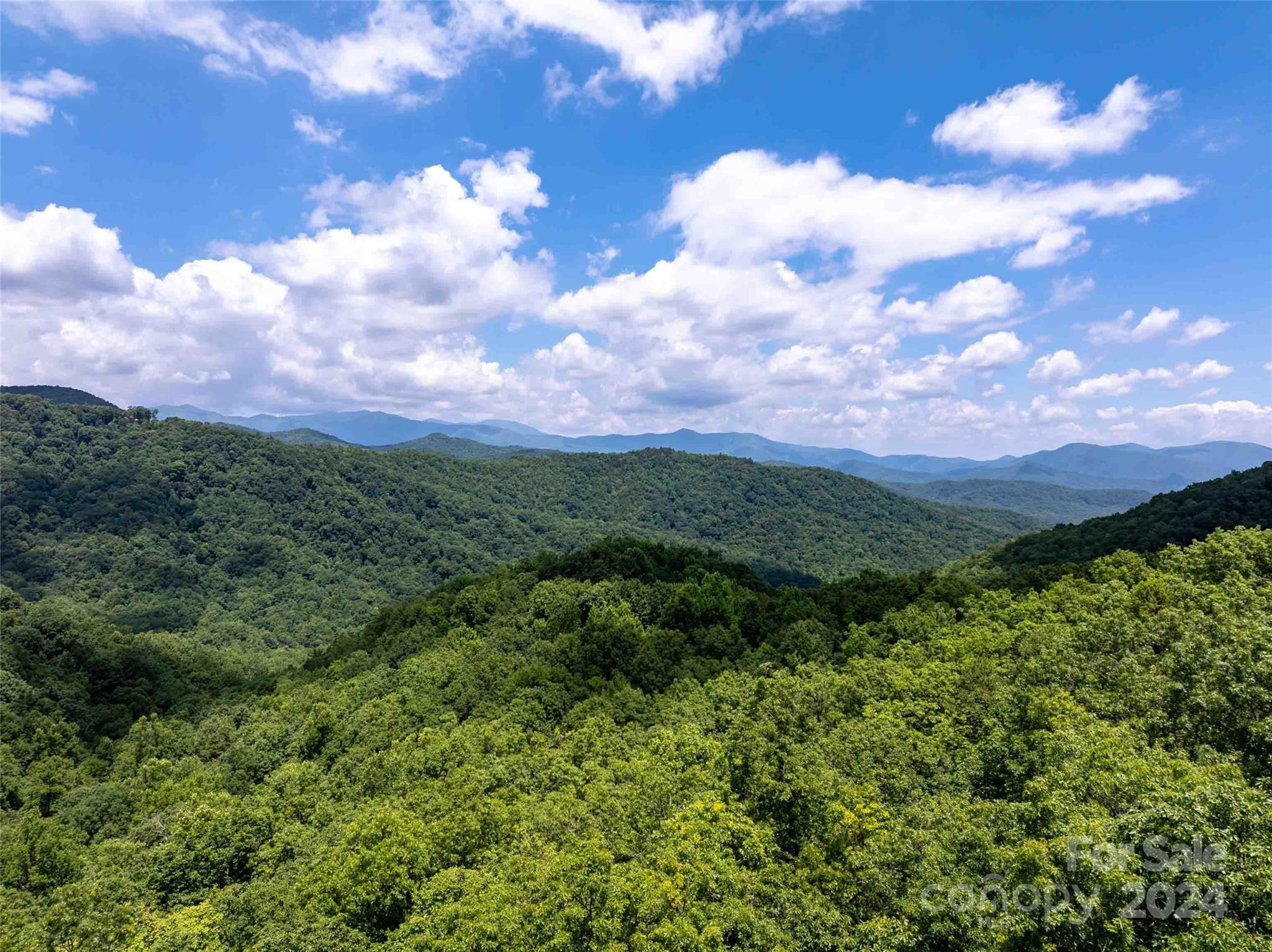 561 N Haven Drive Black Mountain NC 28711