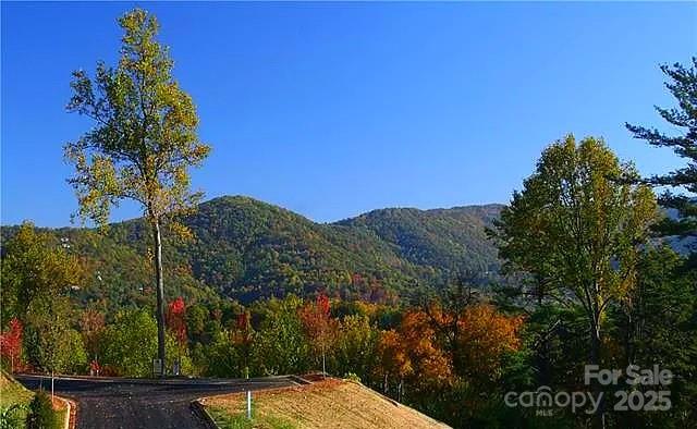 33 Grovepoint Way Asheville NC 28804