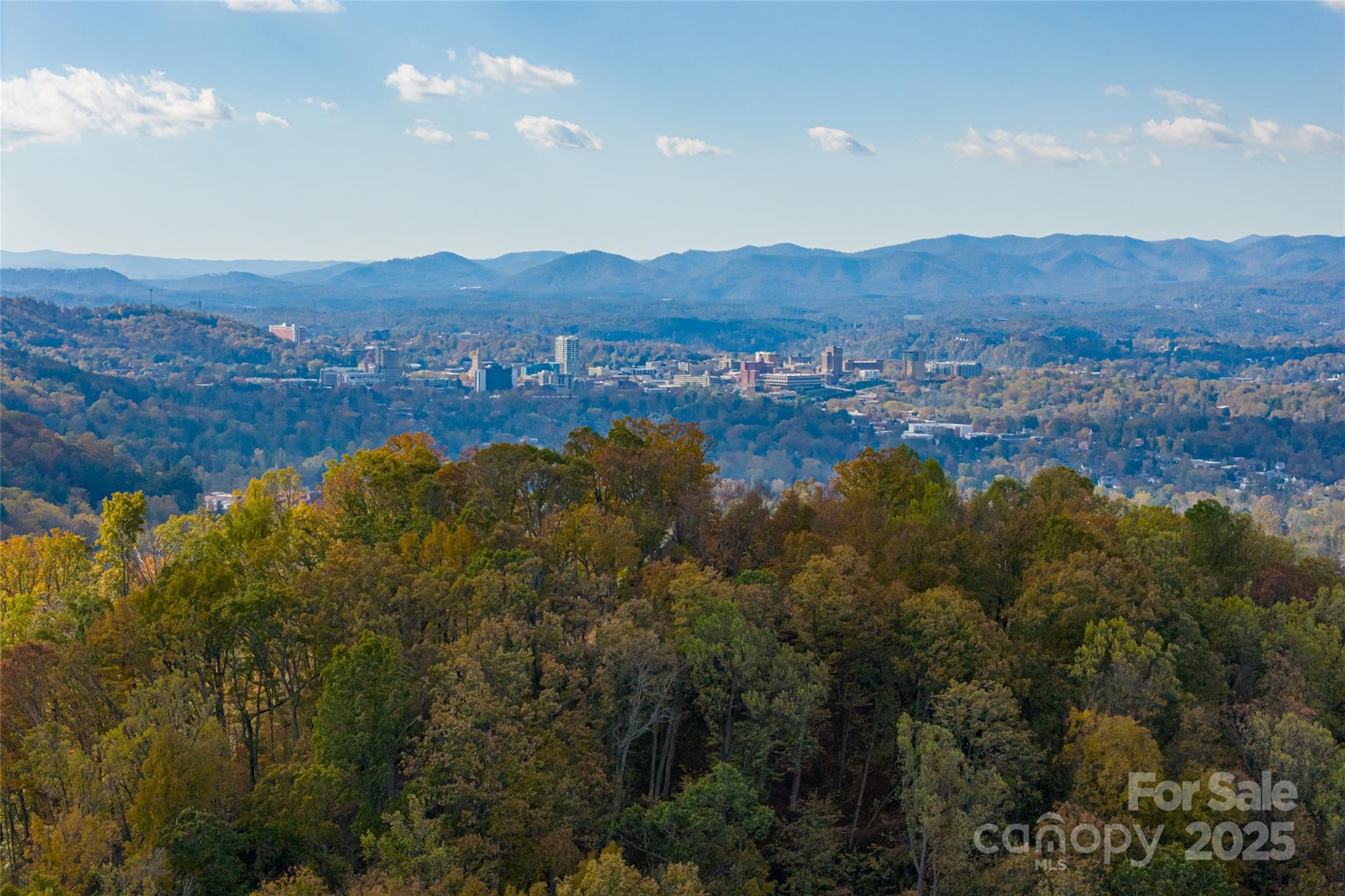 33 Grovepoint Way Asheville NC 28804