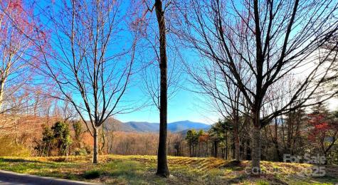 33 Grovepoint Way Asheville NC 28804