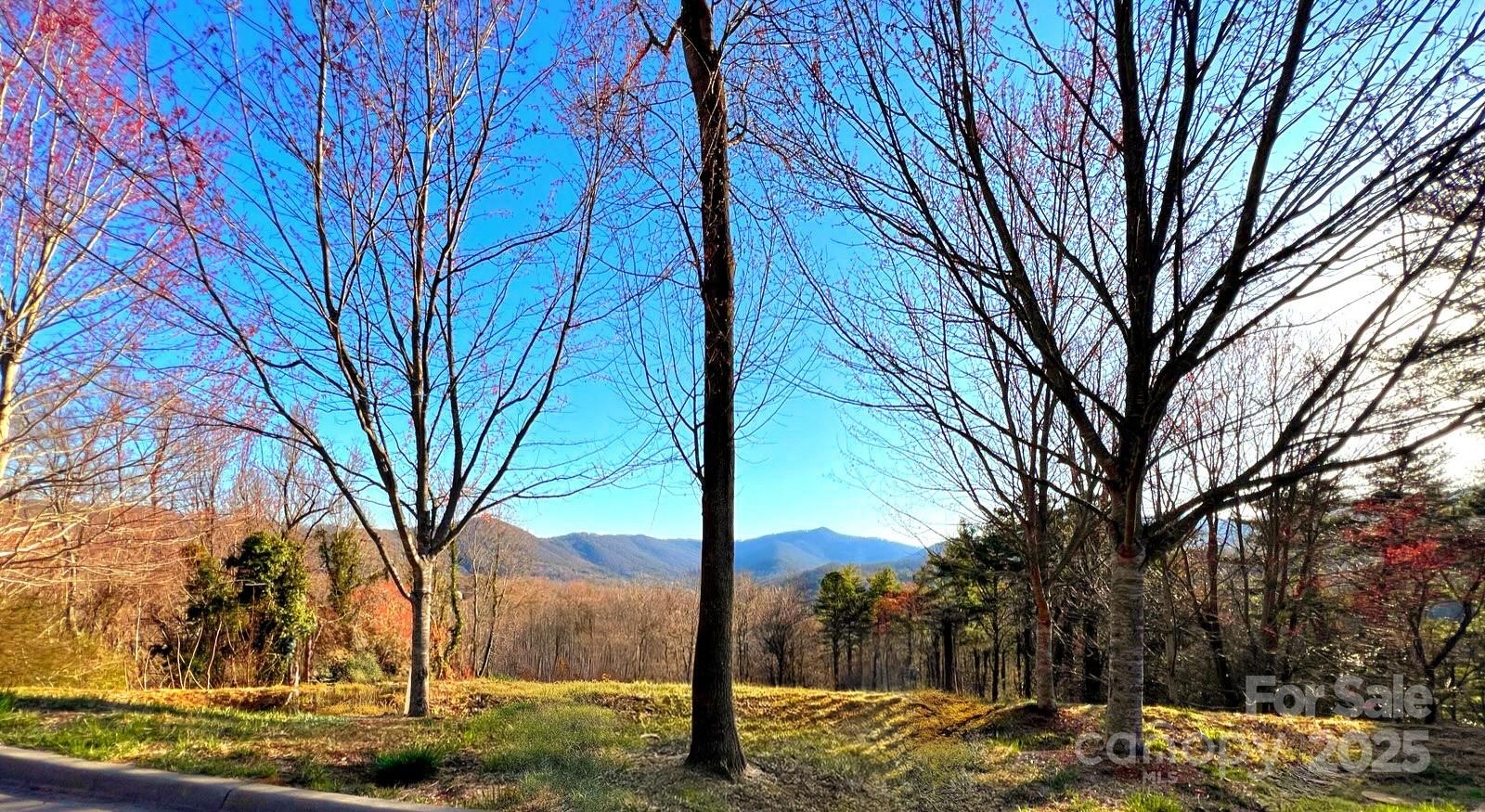 33 Grovepoint Way Asheville NC 28804