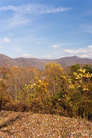 33 Grovepoint Way Asheville NC 28804