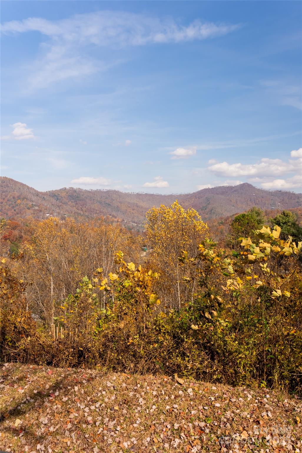 33 Grovepoint Way Asheville NC 28804