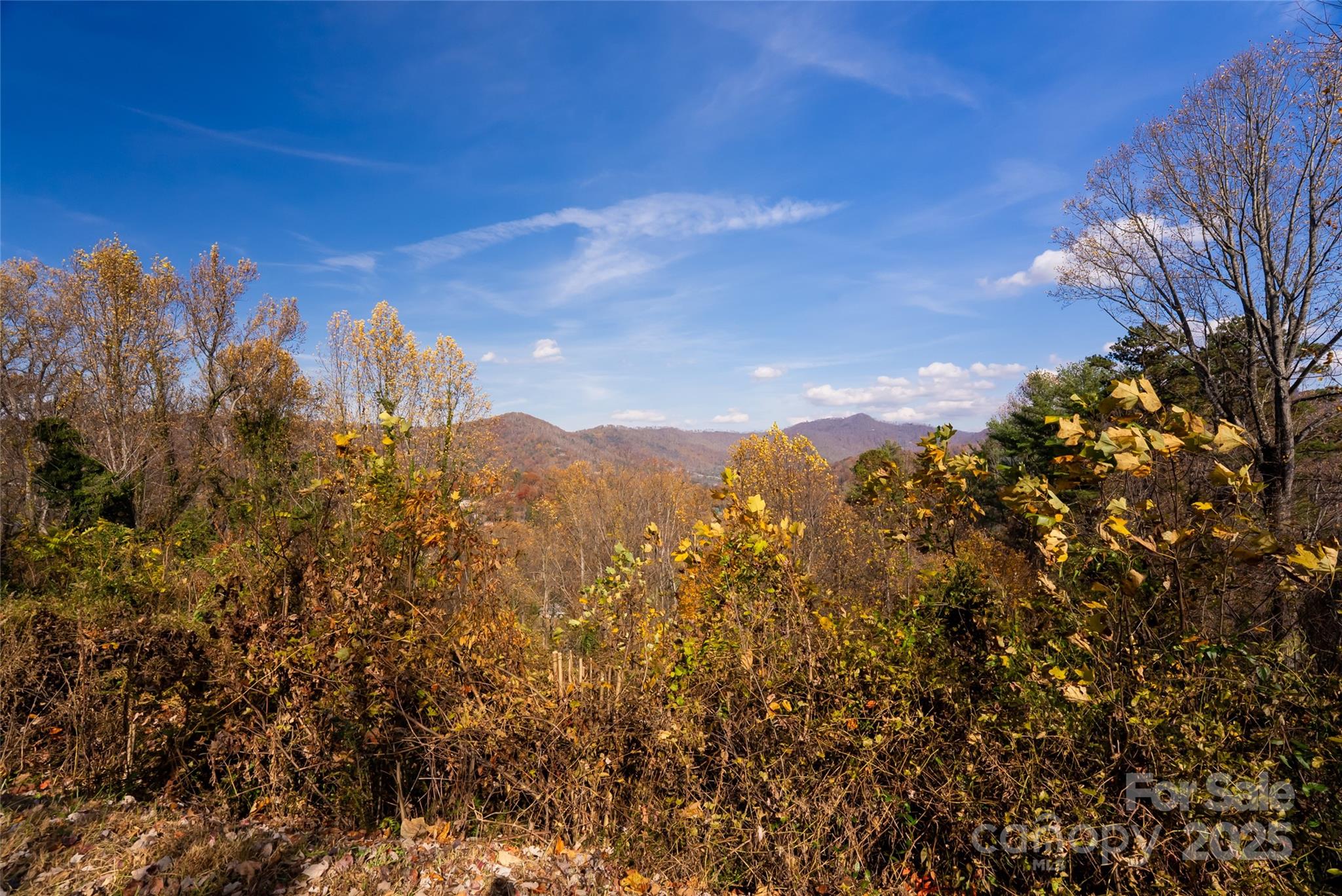 33 Grovepoint Way Asheville NC 28804