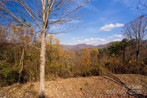 33 Grovepoint Way Asheville NC 28804