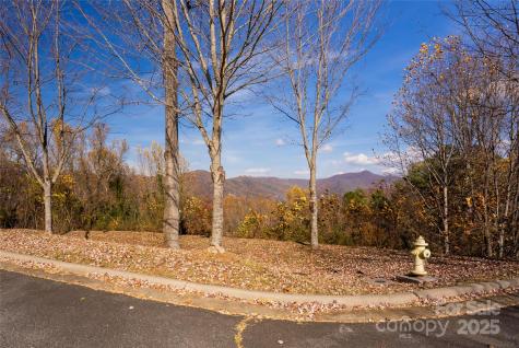 33 Grovepoint Way Asheville NC 28804