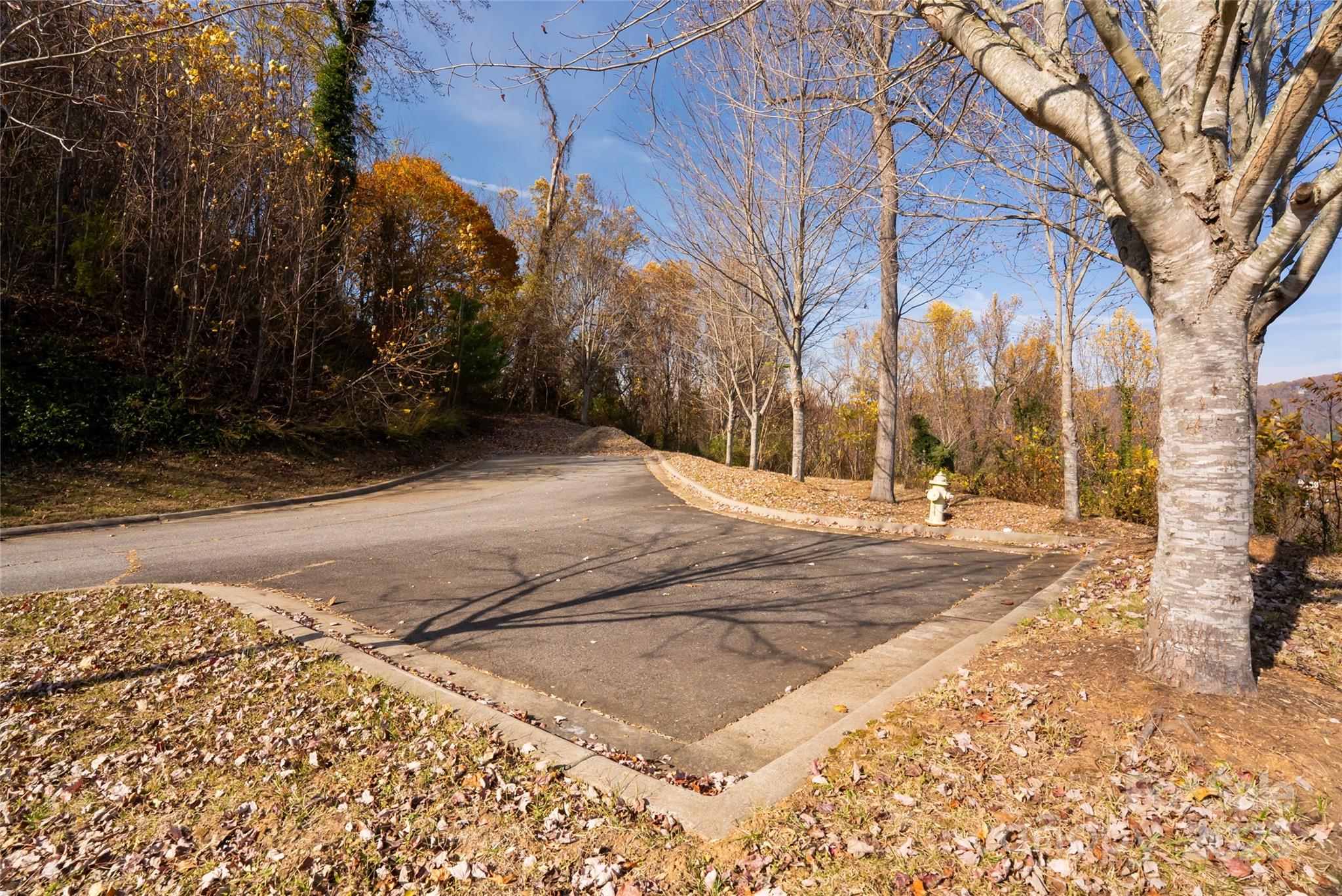 33 Grovepoint Way Asheville NC 28804