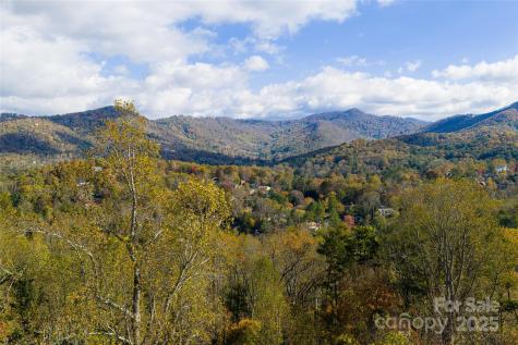 33 Grovepoint Way Asheville NC 28804