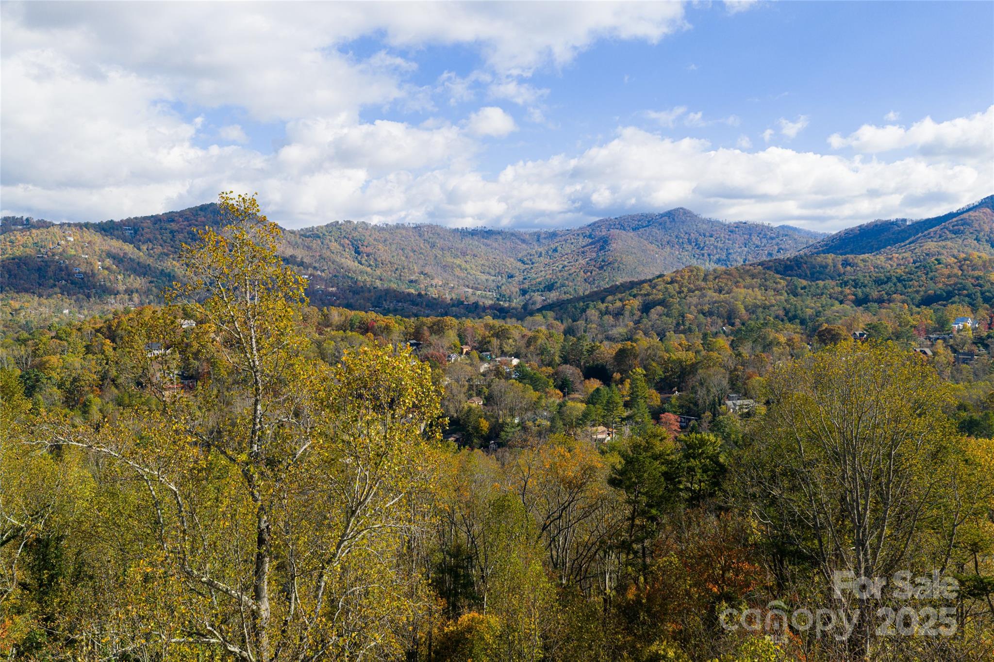 33 Grovepoint Way Asheville NC 28804