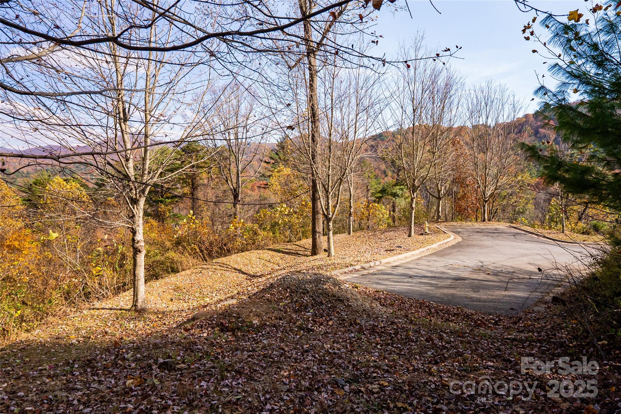 33 Grovepoint Way Asheville NC 28804