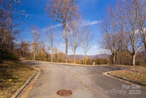 33 Grovepoint Way Asheville NC 28804