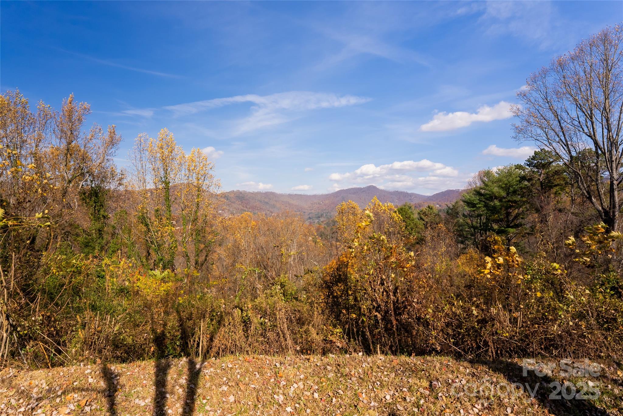 33 Grovepoint Way Asheville NC 28804
