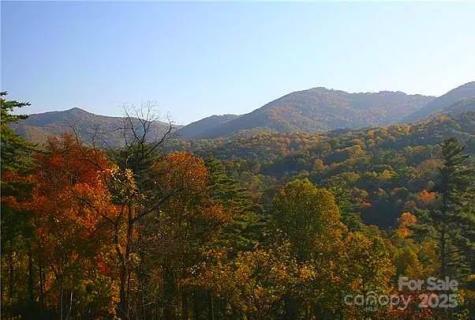 33 Grovepoint Way Asheville NC 28804