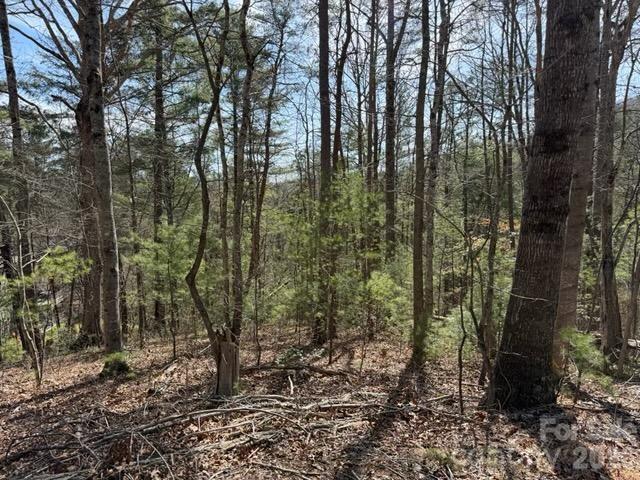 2 Frontier Court Asheville NC 28805