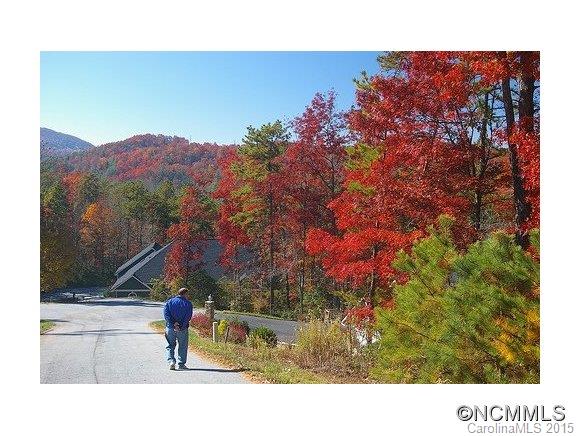 412 Masters View Drive Etowah NC 28729