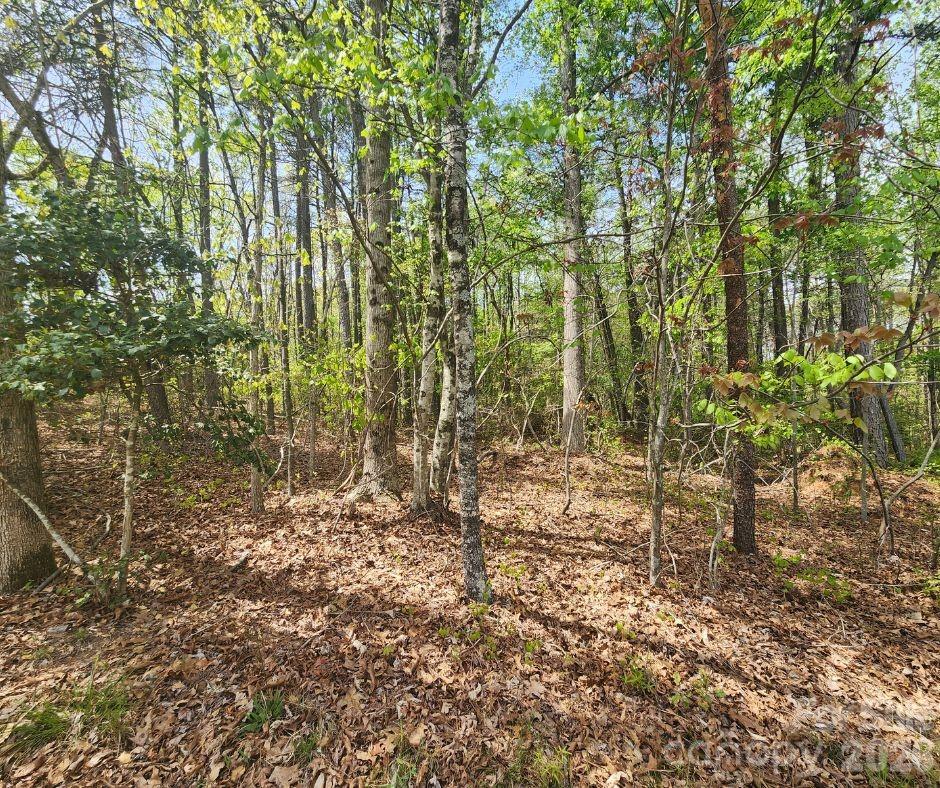 00 Saddlebrook Lane Cherryville NC 28021