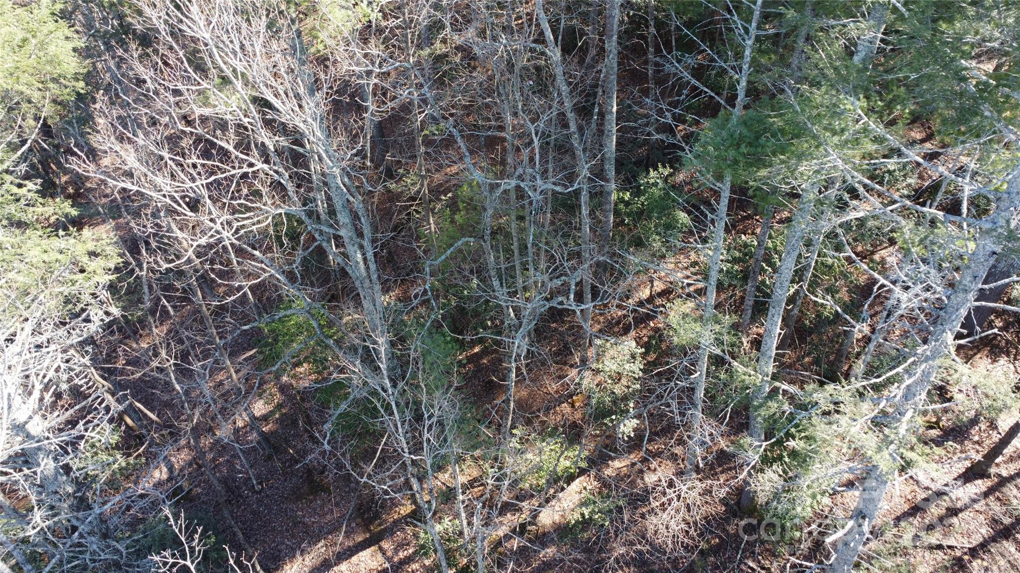 444 Dockside Drive Nebo NC 28761