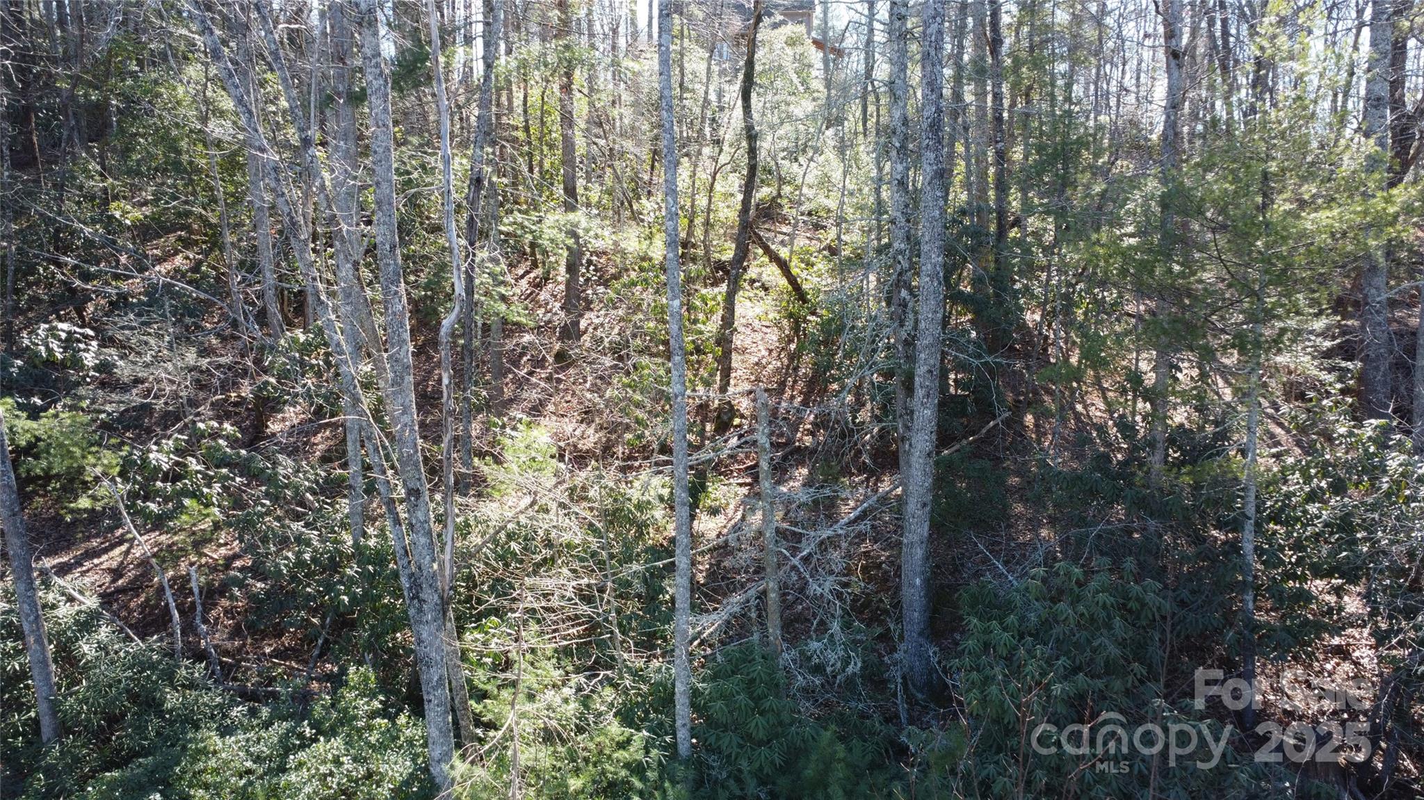 444 Dockside Drive Nebo NC 28761