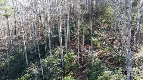 444 Dockside Drive Nebo NC 28761