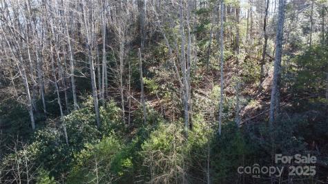 444 Dockside Drive Nebo NC 28761