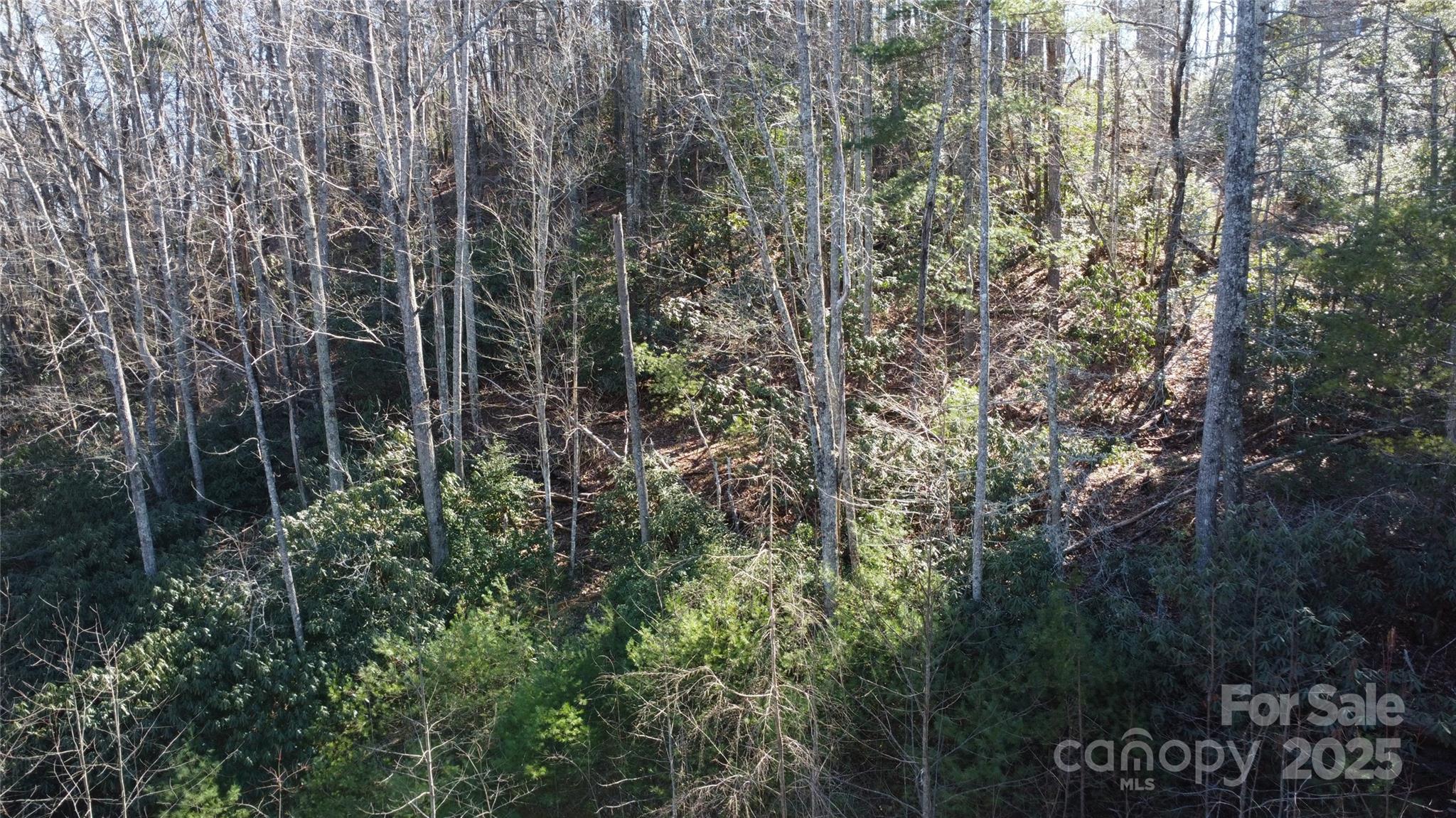 444 Dockside Drive Nebo NC 28761