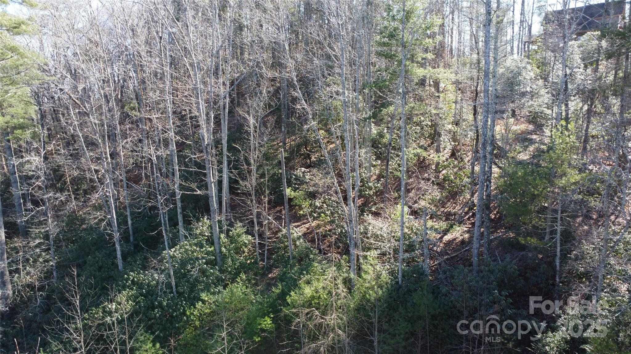 444 Dockside Drive Nebo NC 28761