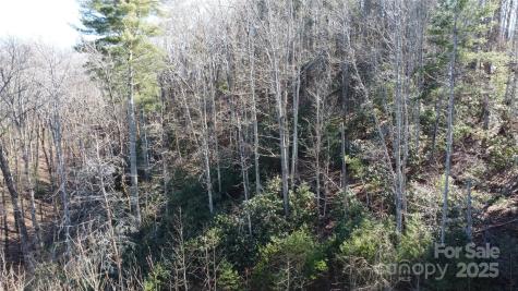 444 Dockside Drive Nebo NC 28761